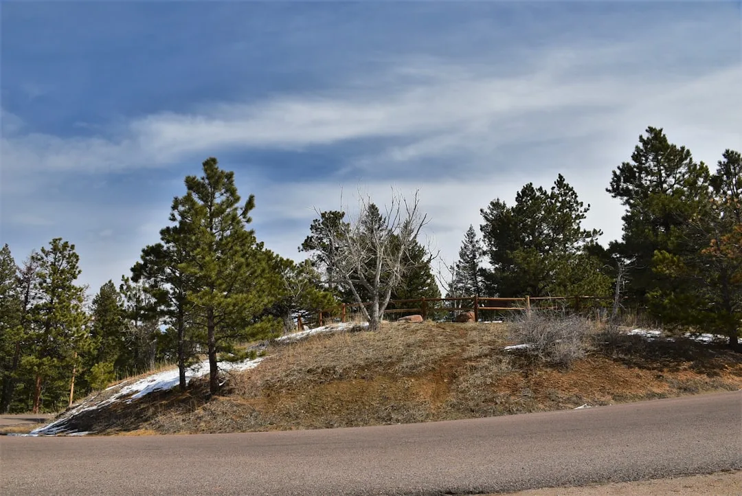 Colorado driveway services — Drivewayz USA