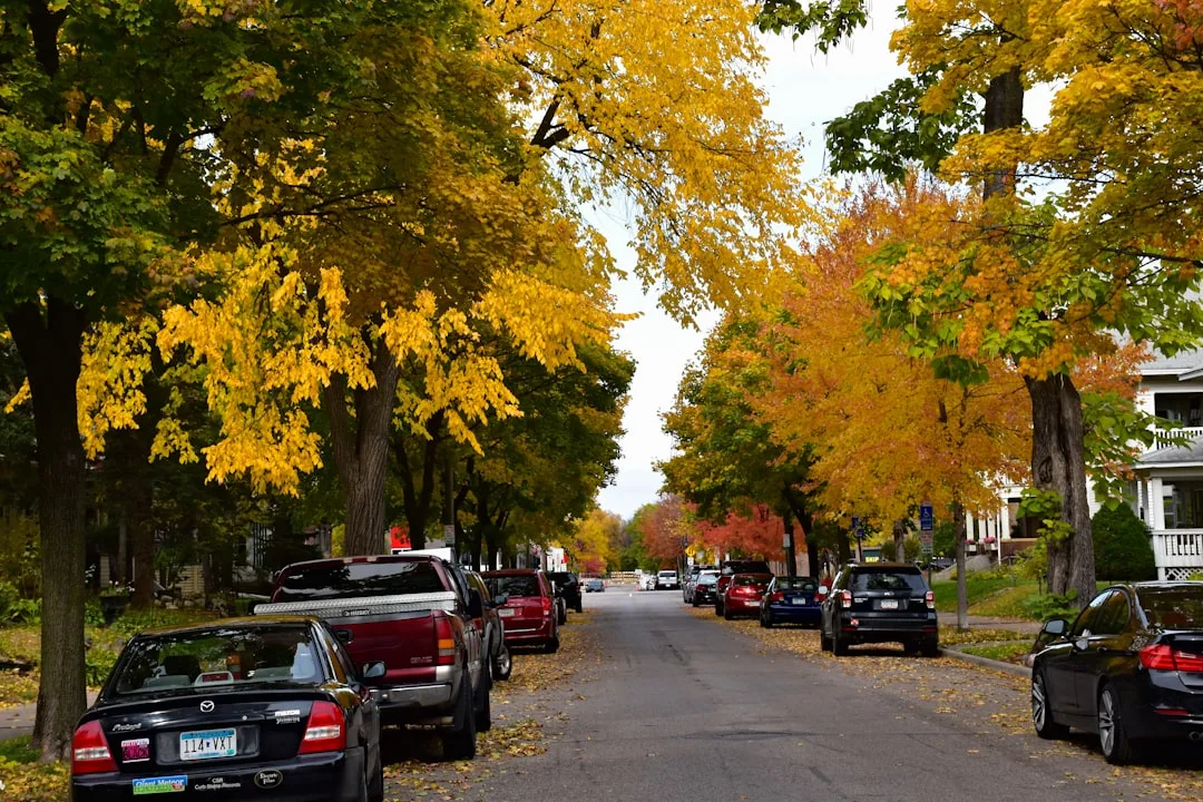 Minnesota driveway services — Drivewayz USA