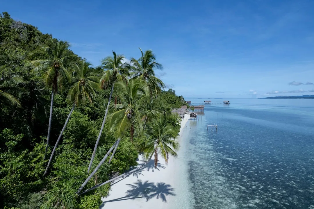 Northern Mariana Islands driveway services — Drivewayz USA