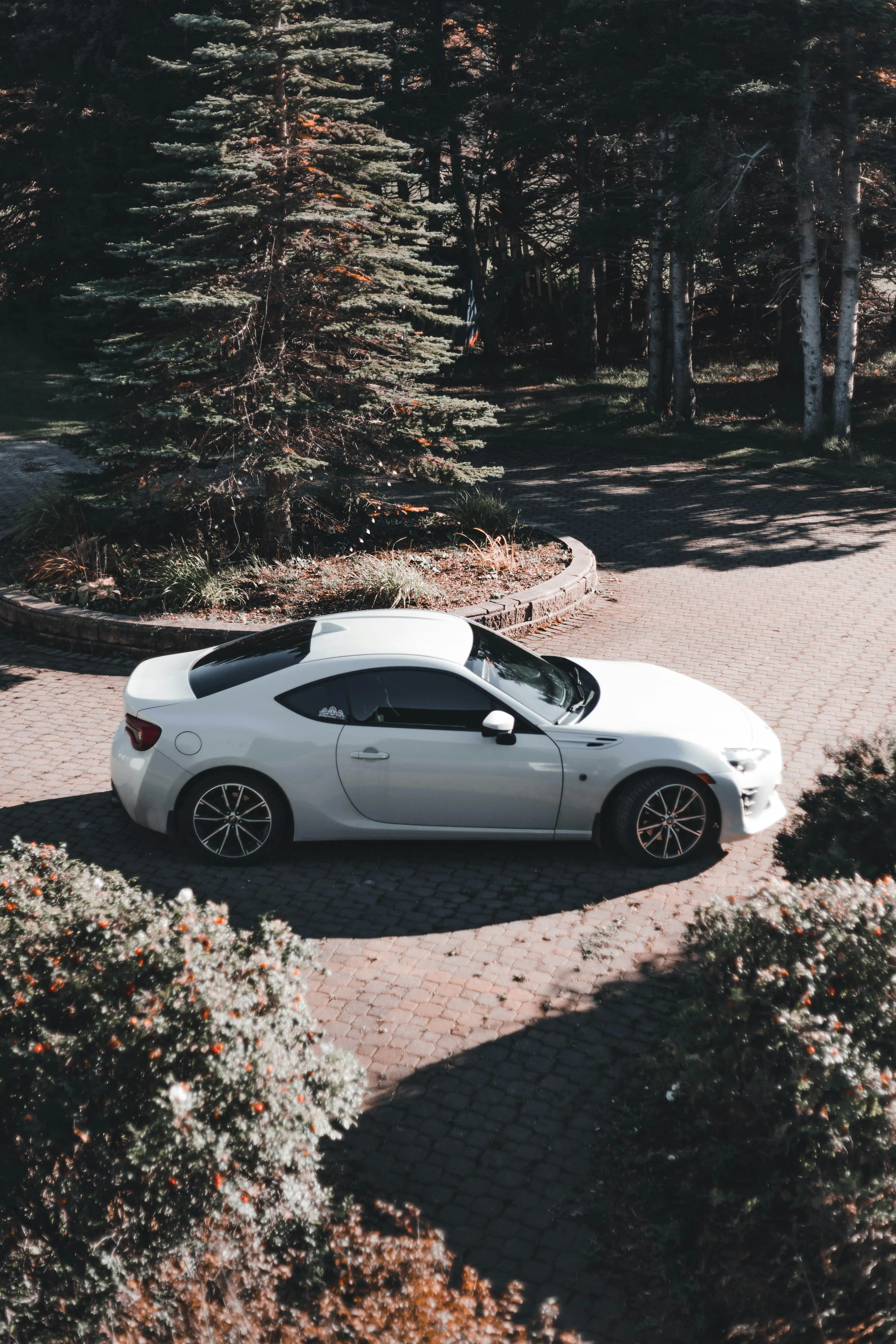 Asphalt Compaction: Tools and Techniques — Drivewayz USA